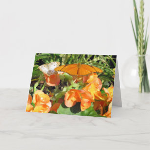 Dyas Julia and White Peacock Butterflies Greeting Card