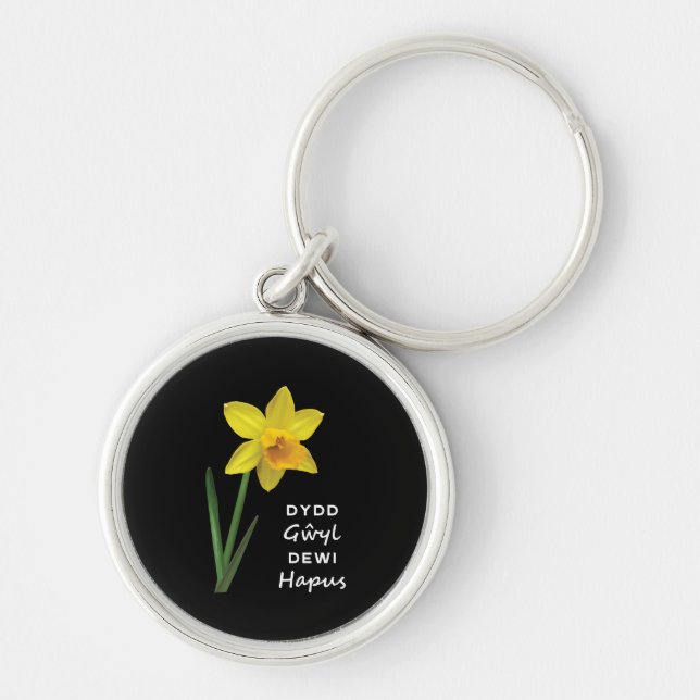 Dydd Gŵyl Dewi Hapus Happy St David's Day Key Ring (Front)