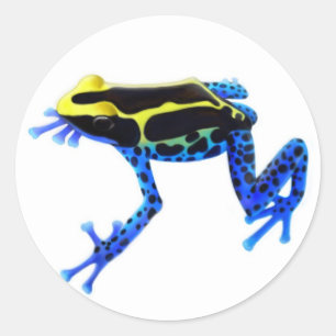 Dyeing Poison Frog Classic Round Sticker