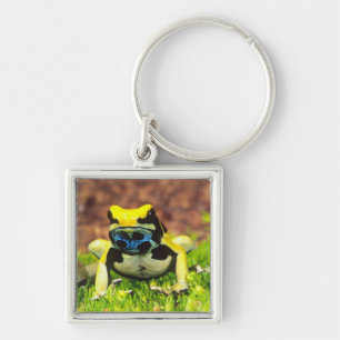 Dyeing Poison Frog, Dendrobates tinctorius, Key Ring