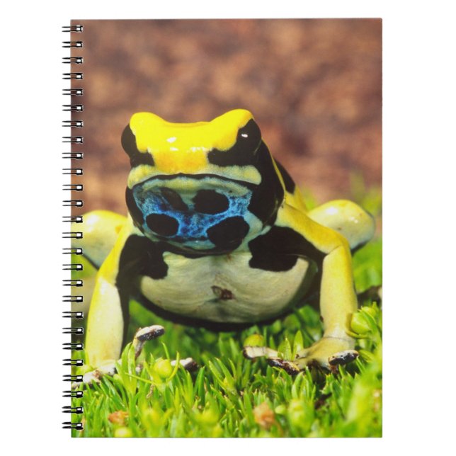 Dyeing Poison Frog, Dendrobates tinctorius, Notebook (Front)