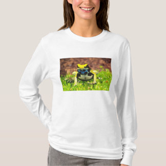 Dyeing Poison Frog, Dendrobates tinctorius, T-Shirt
