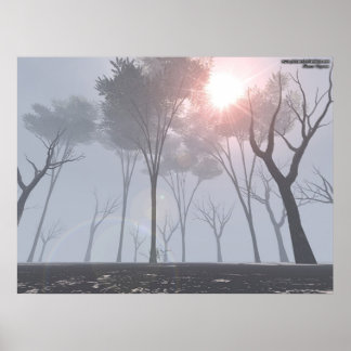 Dying Forest In Fog Poster