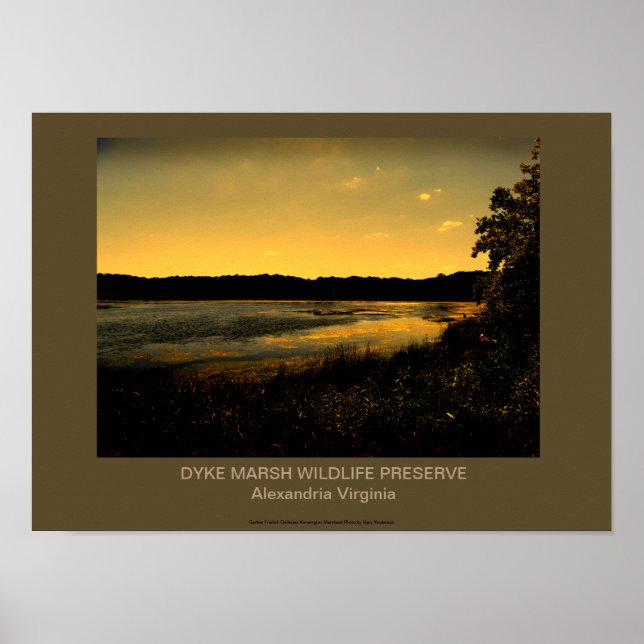 DYKE MARSH WILDLIFE PRESERVE POSTER (Front)