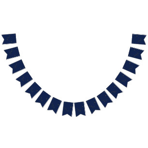 Dynamic Alaska State Flag Graphic on a