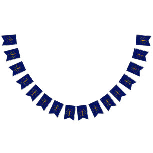 Dynamic Indiana State Flag Graphic on a
