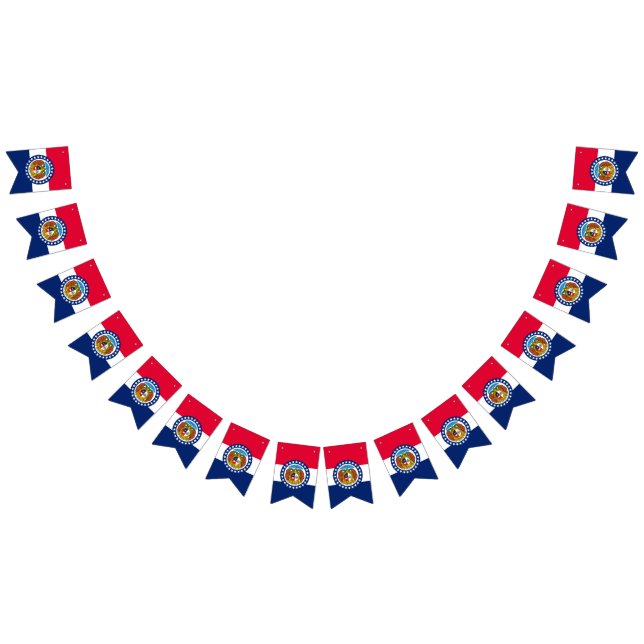 Dynamic Missouri State Flag Graphic on a (All)