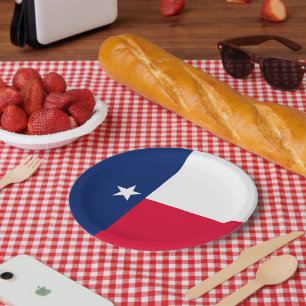 Dynamic Texas State Flag Graphic on a Paper Plate