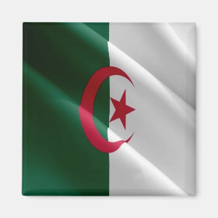 DZ - Algeria - Flag Waving Magnet