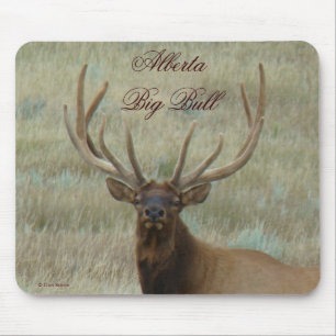 E10 Bull Elk in Velvet Head Mouse Pad