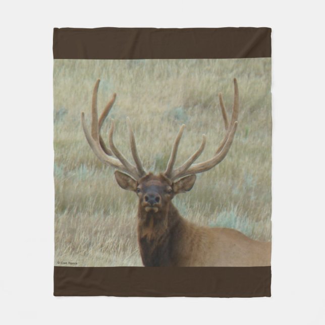 E10 Bull Elk in Velvet Head Shot Fleece Blanket (Front)