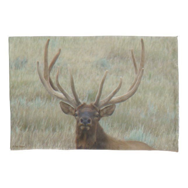 E10 Bull Elk in Velvet Head Shot Pillowcase (Front)