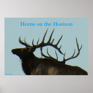 E11 Bull Elk Silhouette Head Shot Poster