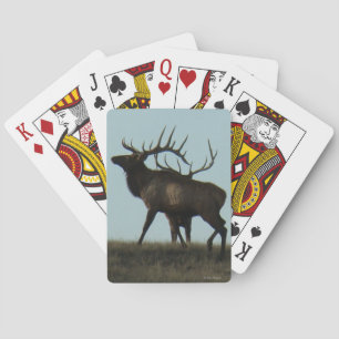 E14 Bull Elk Silhouette Horns on the Horizon Playing Cards