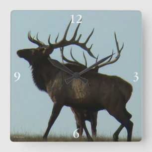 E14 Bull Elk Silhouette Horns on the Horizon Square Wall Clock