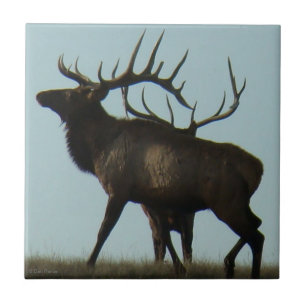 E14 Bull Elk Silhouette Horns on the Horizon Tile