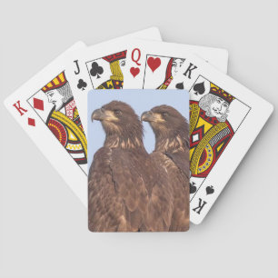 E17 & E18 Playing Cards