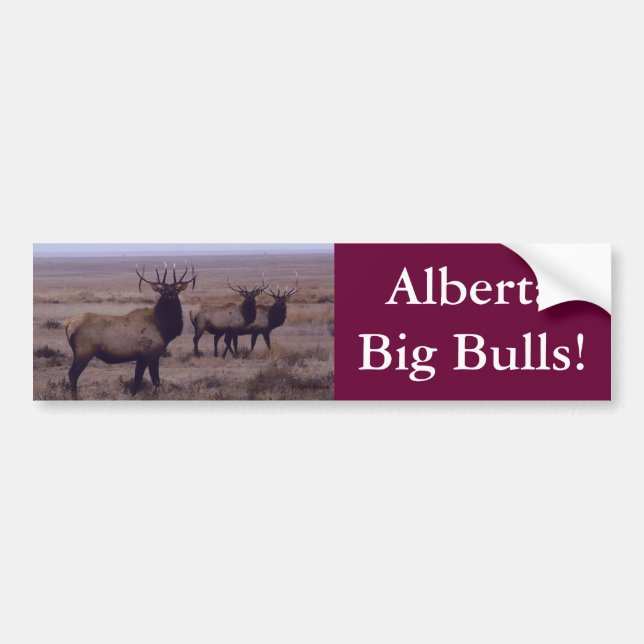 E19 Bull Elk Double Drop Tines Bumper Sticker (Front)