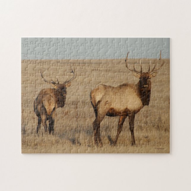 E1 Bull Elk Jigsaw Puzzle (Horizontal)