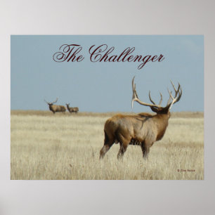 E20 Bull Elk Challenger Poster