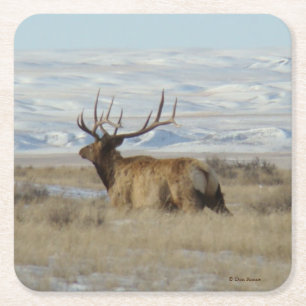 E22 Big Bull Elk and Snowy Hills Square Paper Coaster