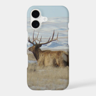 E22 Bull Elk and Snowy Hills