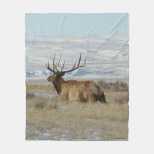 E22 FLEECE BLANKET