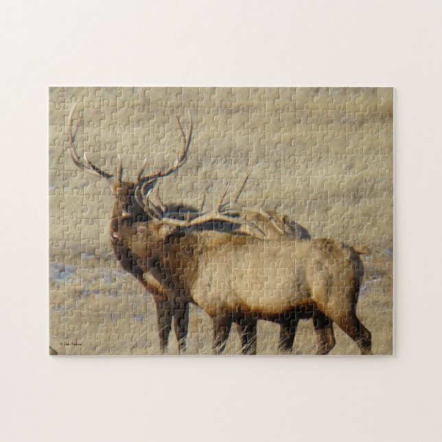 E24 Bull Elk Jigsaw Puzzle (Horizontal)