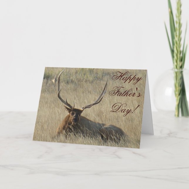 E25 Bull Elk Laying Card (Front)