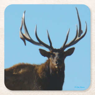 E27 Big Bull Elk Skylined Square Paper Coaster