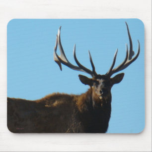 E27 Bull Elk Sky Lined Mouse Pad