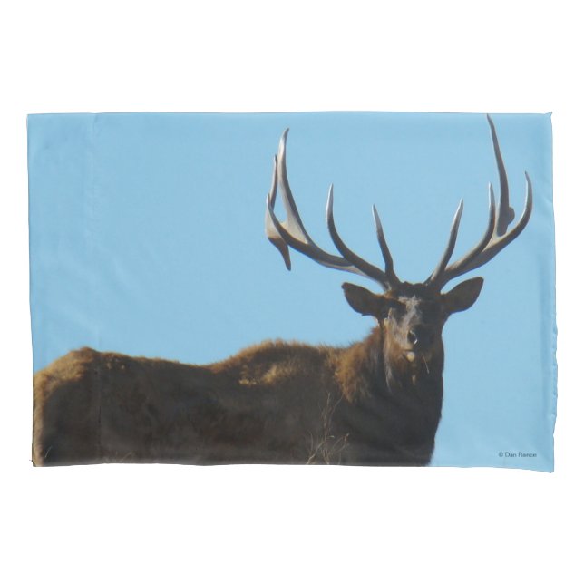 E27 Bull Elk Sky Lined Pillowcase (Front)