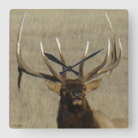 E29 Bull Elk Head Shot