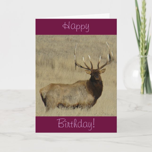 E30 Bull Elk Big Bull Card (Front)