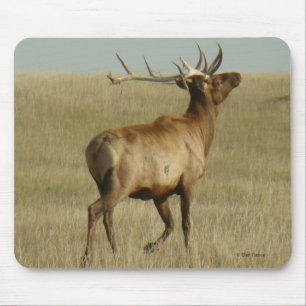 E35 Bull Elk Grass in Horns Mouse Pad