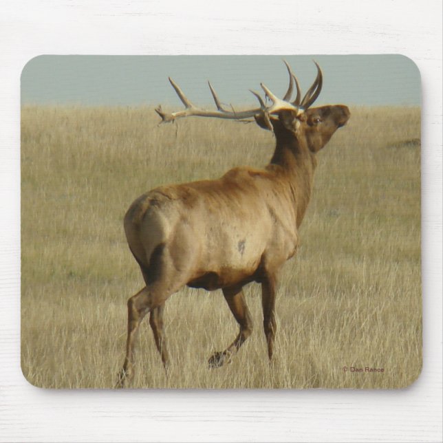 E35 Bull Elk Grass in Horns Mouse Pad (Front)