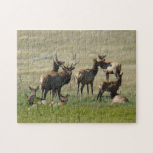 E36 Elk Herd at Waterhole Jigsaw Puzzle
