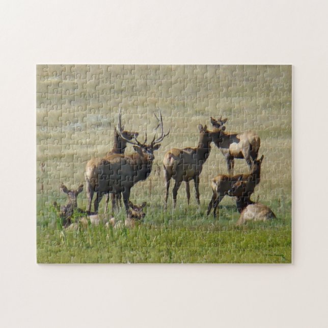 E36 Elk Herd at Waterhole Jigsaw Puzzle (Horizontal)