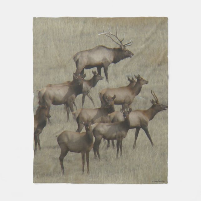 E37 Elk Herd Fleece Blanket (Front)