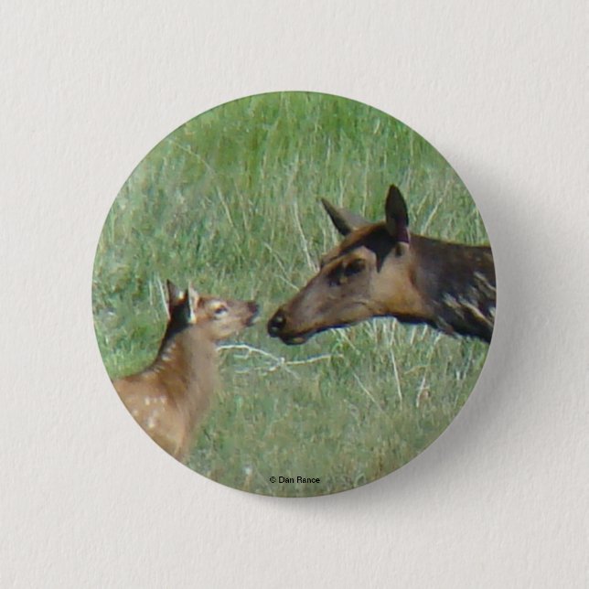 E3 Cow Elk and Calf 6 Cm Round Badge (Front)