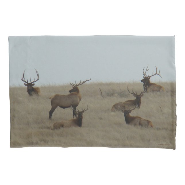 E41 Bull Elk Big Bulls Laying Pillowcase (Front)