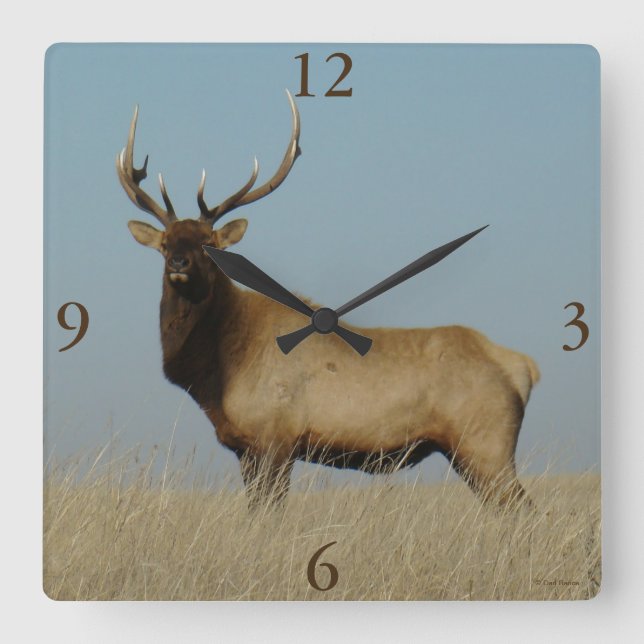E43 Bull Elk Sky Lined Square Wall Clock (Front)