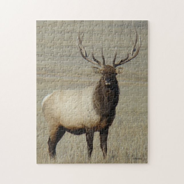 E46 Bull Elk Big Bull Jigsaw Puzzle (Vertical)