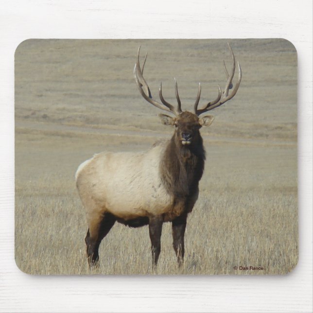 E46 Bull Elk Big Bull Mouse Pad (Front)