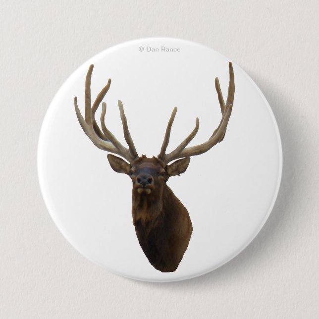 E48 Bull Elk Head in Velvet 7.5 Cm Round Badge (Front)