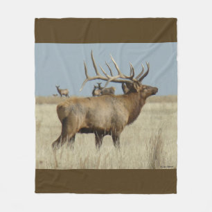 E4 Bull Elk Herd Master Fleece Blanket
