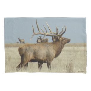 E4 Bull Elk Herd Master Pillowcase