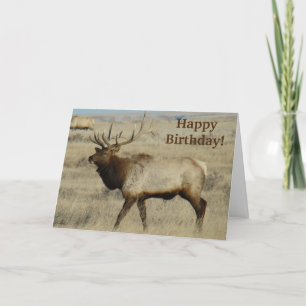 E55 Bull Elk Card