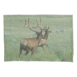 E56 Bull Elk in Velvet Pillowcase