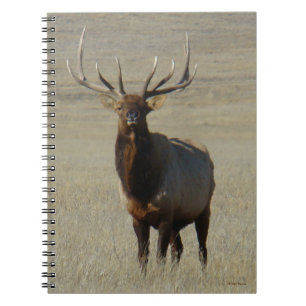 E59 Bull Elk Notebook